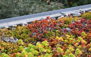 the cost of Beamish green roof installation